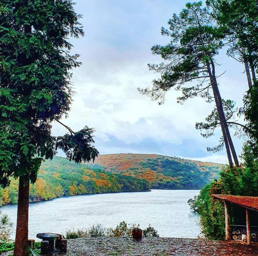 O Faya Cottage Votre Gite Calme Et Verdoyant En Bretagne Saint-Mayeux Εξωτερικό φωτογραφία