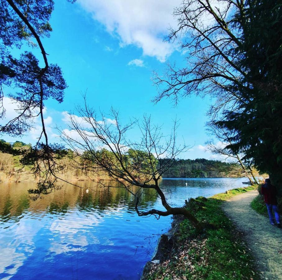 O Faya Cottage Votre Gite Calme Et Verdoyant En Bretagne Saint-Mayeux Εξωτερικό φωτογραφία